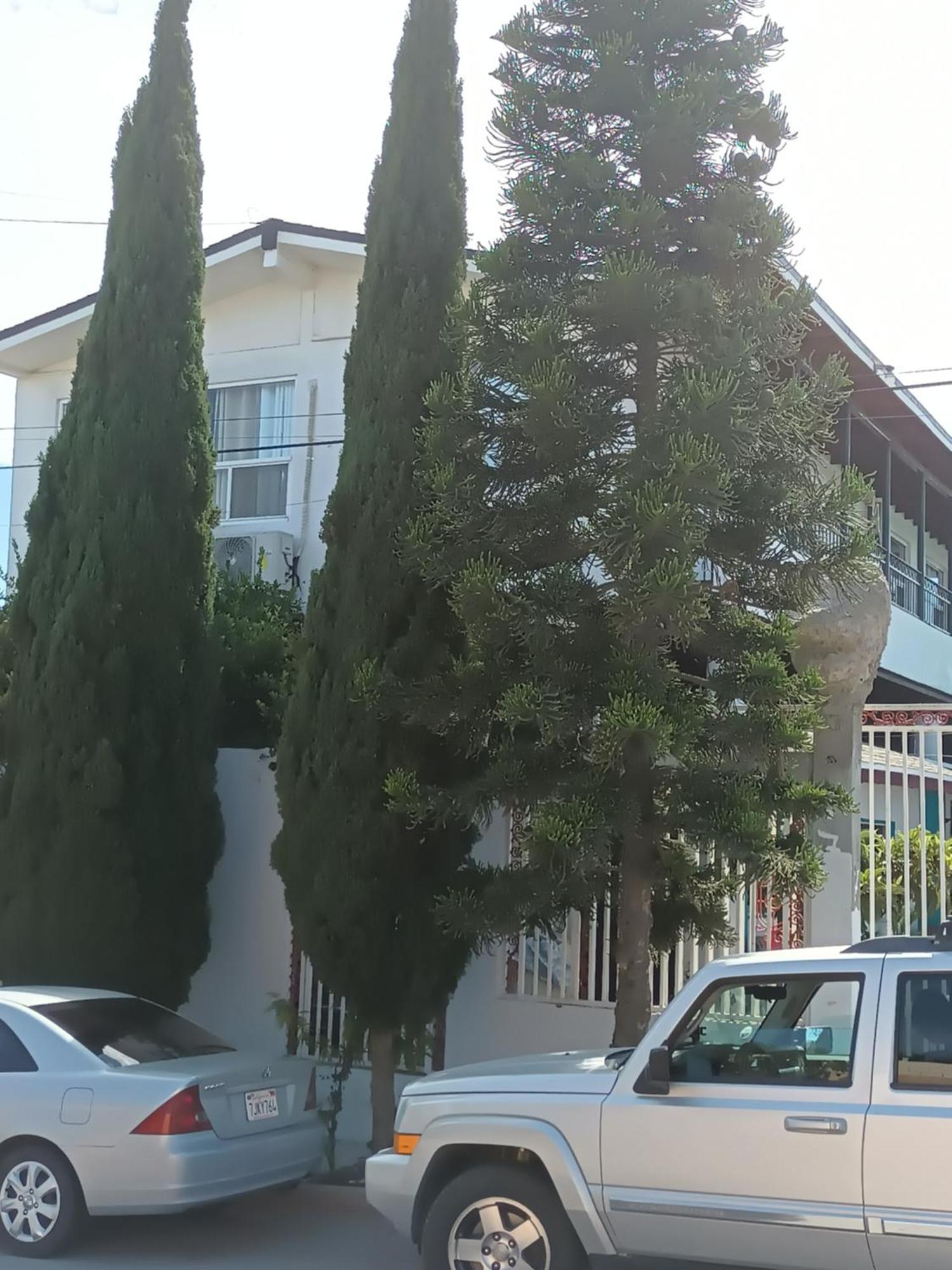 Apartamentos Rosarito.!! Con Vista Al Mar ! Dış mekan fotoğraf