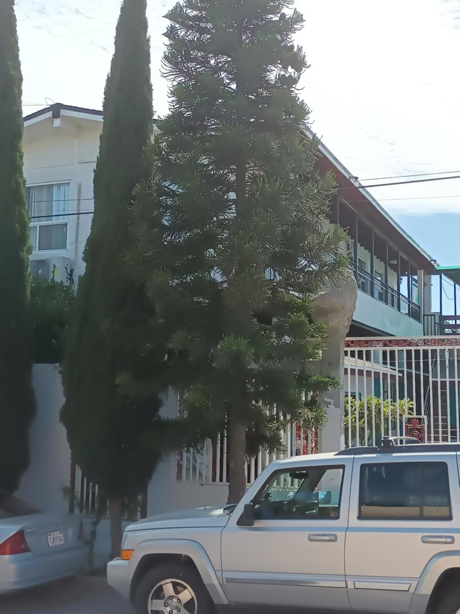 Apartamentos Rosarito.!! Con Vista Al Mar ! Dış mekan fotoğraf